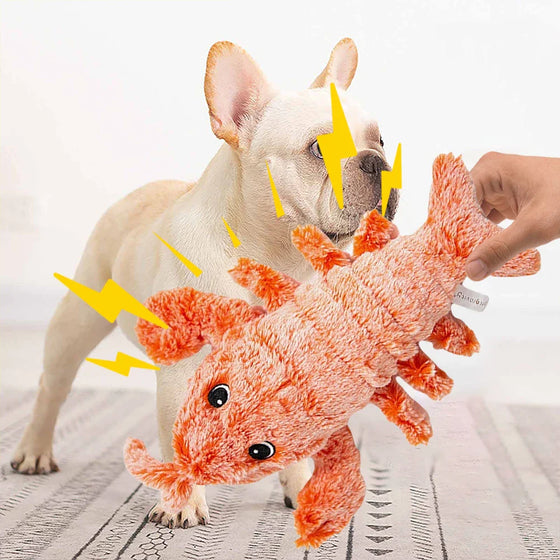 Köpekler