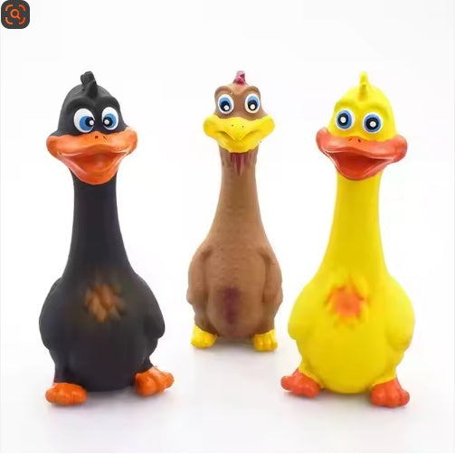Squeaky Bottle Chew Toy