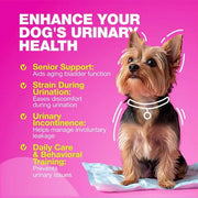 Cranberry Chews for Dogs — Bladder & Urinary Wellness Support – alternate view 4 thumbnail