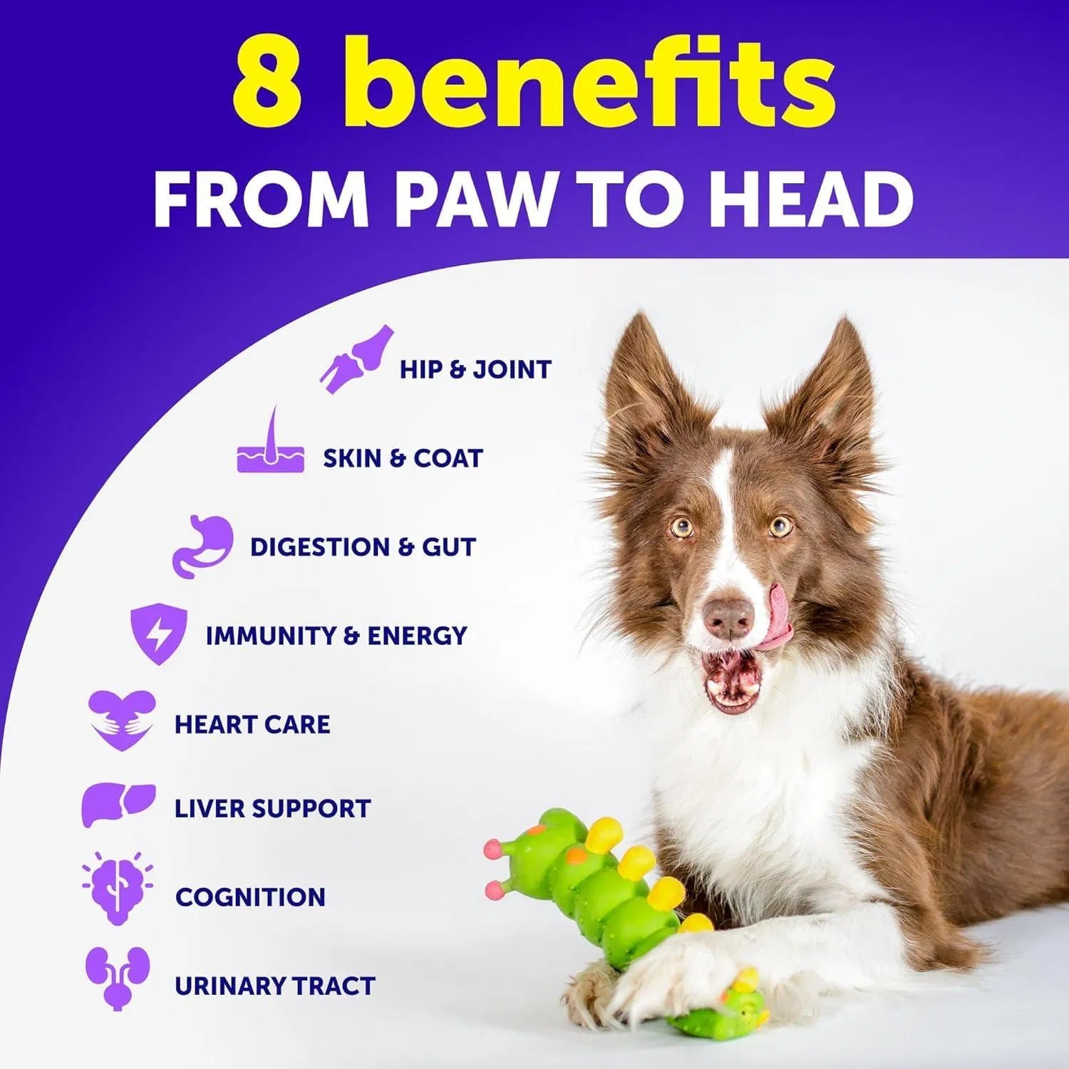 20-in-1 Dog Multivitamin Chews with Glucosamine — Daily Wellness Support – alternate view 7 of 7