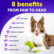 20-in-1 Dog Multivitamin Chews with Glucosamine — Daily Wellness Support – alternate view 7 thumbnail