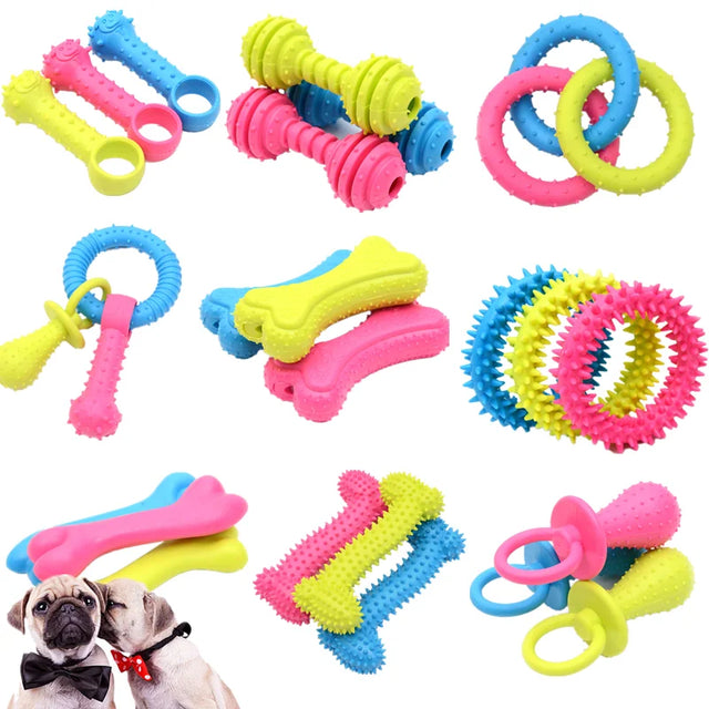 Durable Rubber Chew Toy for Small Dogs — Teeth Cleaning & Training