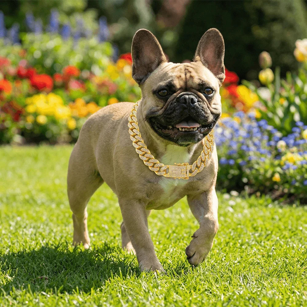Gold-Tone Cuban Chain Fashion Collar for Dogs – alternate view 5 of 7
