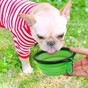 Faltbarer Silikon-Reisenapf für Katzen und Hunde – alternate view 4 thumbnail