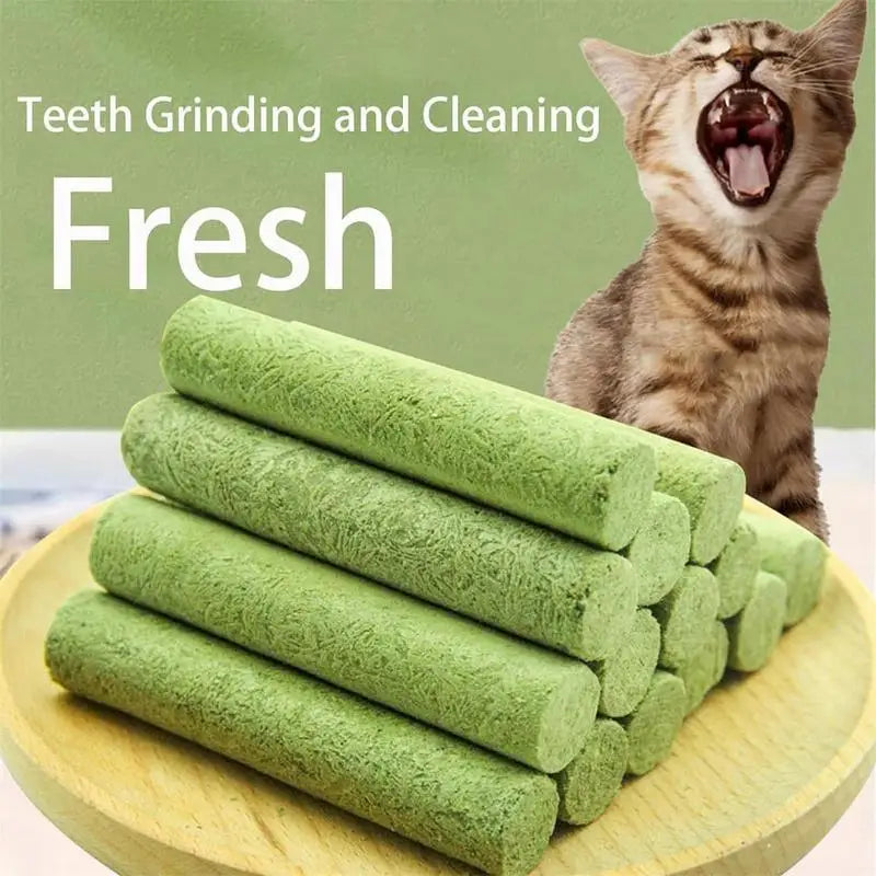 Cat Grass Growing Kit – alternate view 4 of 6
