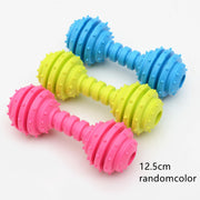 Durable Rubber Chew Toy for Small Dogs — Teeth Cleaning & Training – alternate view 7 thumbnail