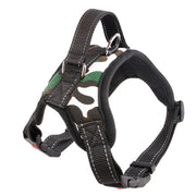 Reflective Adjustable Pet Harness with Leash — Cats & Dogs – alternate view 5 thumbnail