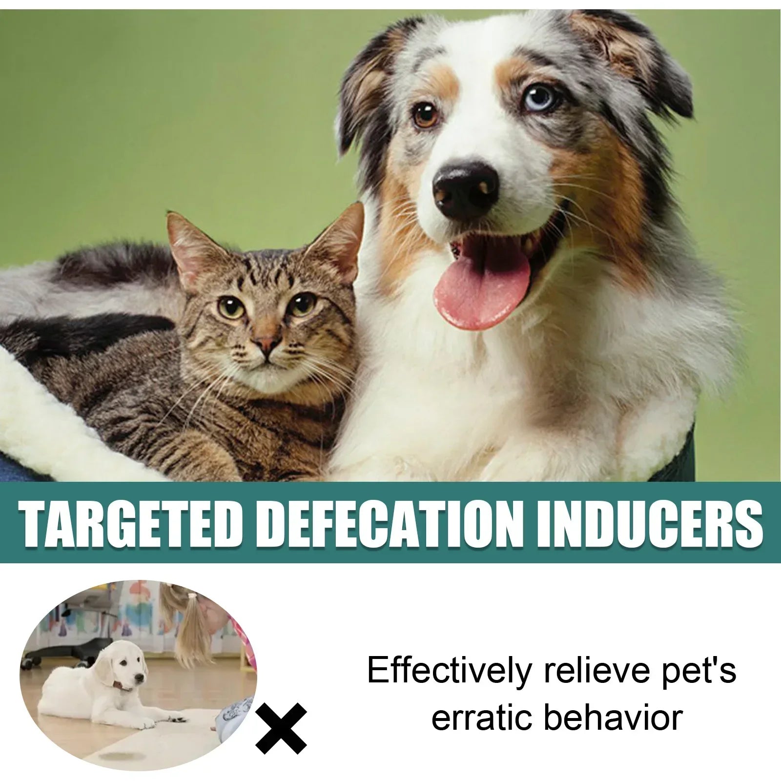 Pet Potty Training Attractant Spray – alternate view 3 of 5