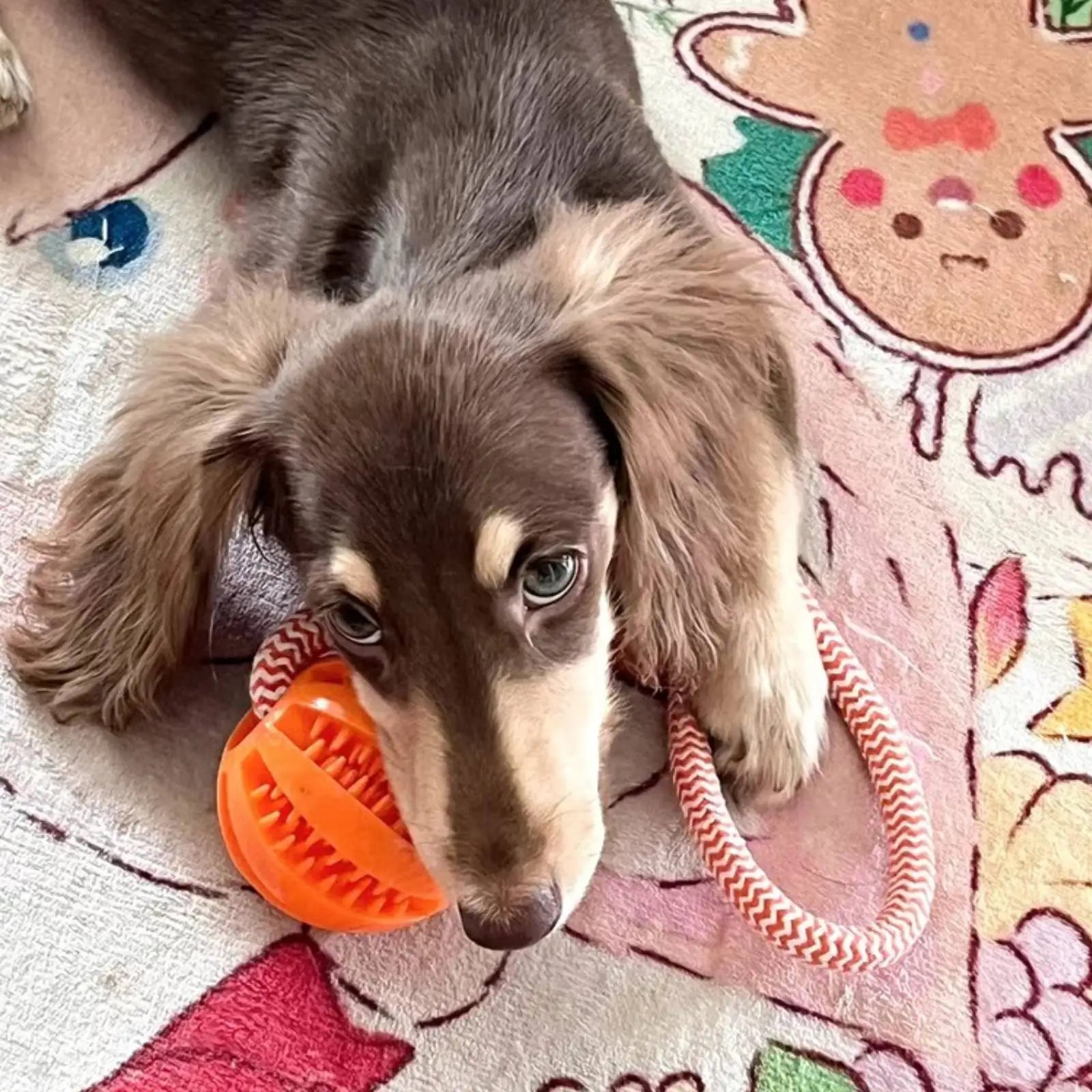 Cotton Rope Treat-Dispensing Puzzle Ball for Dogs – alternate view 6 of 9