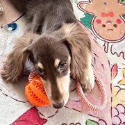 Cotton Rope Treat-Dispensing Puzzle Ball for Dogs – alternate view 6 thumbnail