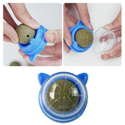 Catnip Energy Ball — Healthy Cat Treat & Toy – alternate view 6 thumbnail