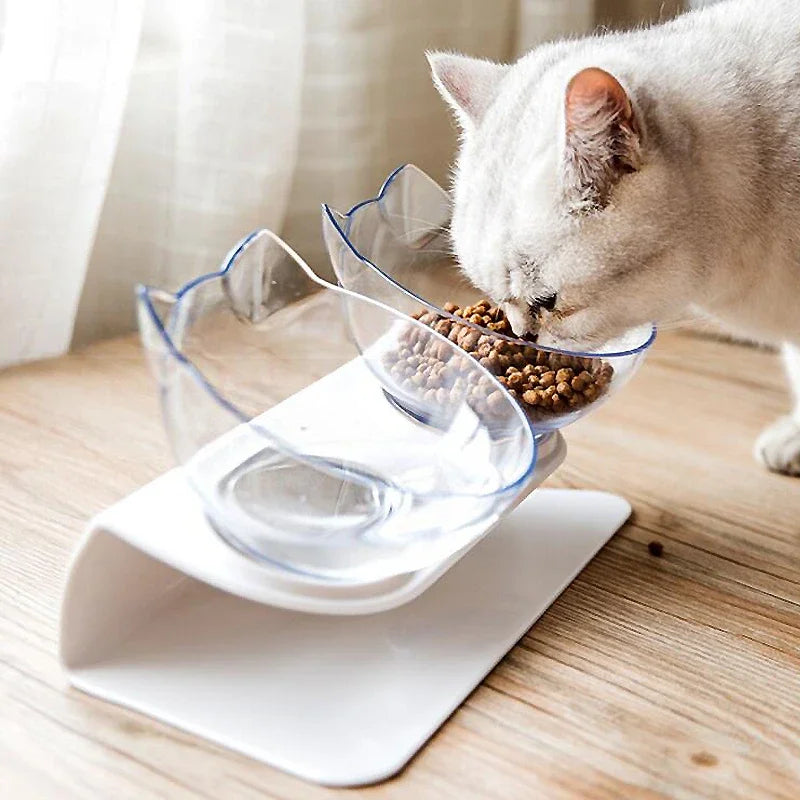 Non-Slip Double Feeding Bowl Set with Stand — Cats & Dogs – Pet Feeding
