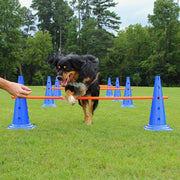 Dog Agility Training Set — Adjustable Jump Bar & Hurdle Kit – alternate view 3 thumbnail