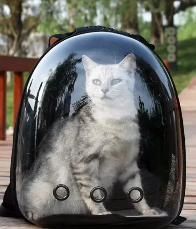 Portable Breathable Cat Travel Carrier Bag