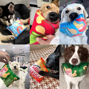 Crinkle Sound Plush Chew Toy for Dogs & Cats – alternate view 2 thumbnail