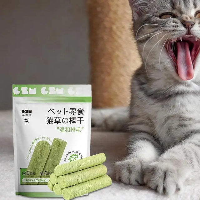 Yavru Kediler İçin Kedi Otu Diş Temizleyici Çiğneme Çubukları