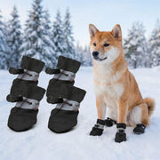 Hundestiefel für jedes Wetter (4er-Set) – alternate view 4 thumbnail