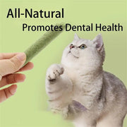 Cat Grass Growing Kit – alternate view 5 thumbnail