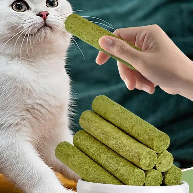 Cat Grass Growing Kit – alternate view 3 of 6