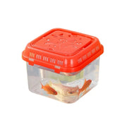 Tragbarer Mini-Tiertransportbehälter — Für Fische, Reptilien und Kleintiere – alternate view 8 thumbnail