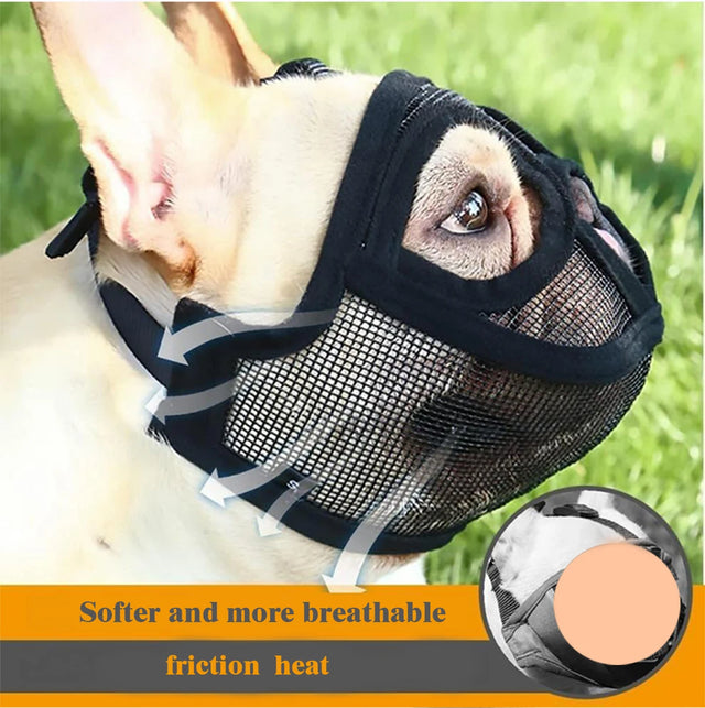 Adjustable Short-Snout Dog Muzzle — Bite Prevention for Vet Visits & Grooming