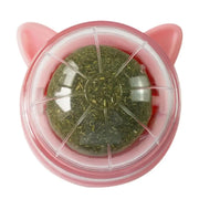 Catnip Energy Ball — Healthy Cat Treat & Toy – alternate view 8 thumbnail