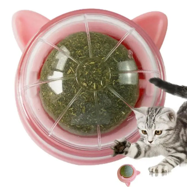 Kedi Nanesi Enerji Topu — Sağlıklı Kedi Ödülü ve Oyuncak