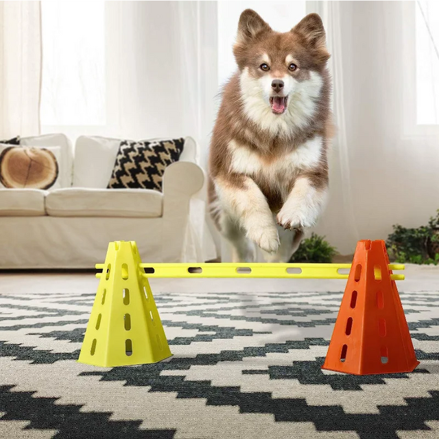 Köpek Çeviklik Eğitim Seti – Ayarlanabilir Atlama Barı ve Engel Kiti