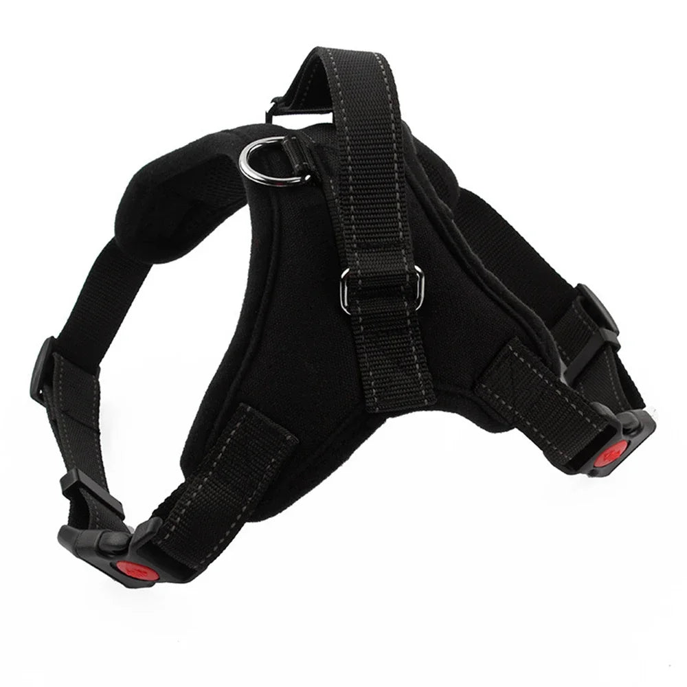 Reflective Adjustable Pet Harness with Leash — Cats & Dogs – alternate view 12 of 15