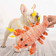 Squeaky Bottle Chew Toy – Dog Toys thumbnail
