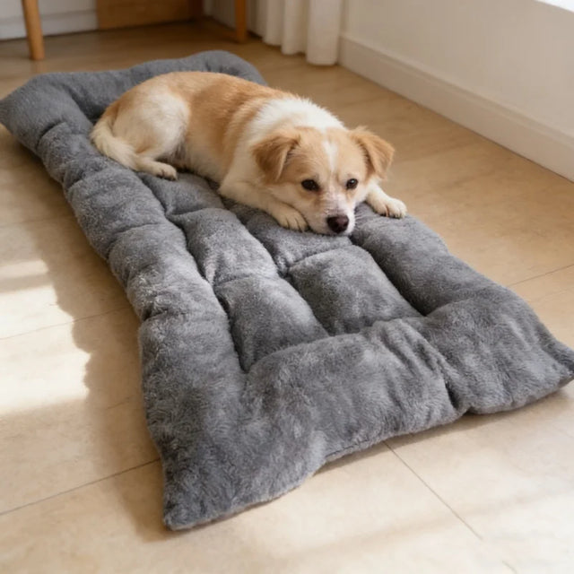 Ekstra Büyük Peluş Köpek Yatağı/Sofa — Küçük ve Büyük Köpekler İçin Yumuşak Kafes Minderi
