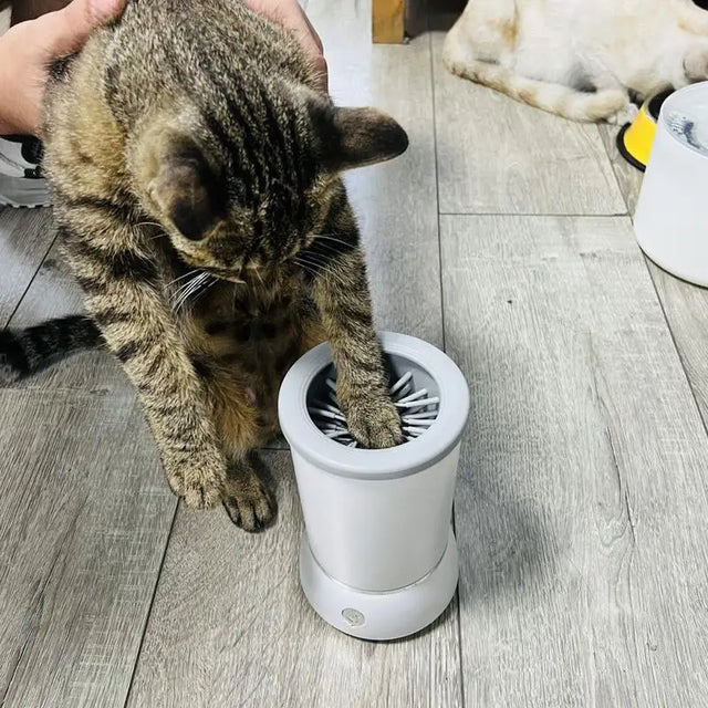 Köpekler İçin USB Şarjlı Elektrikli Pati Temizleyici