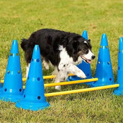 Dog Agility Training Set — Adjustable Jump Bar & Hurdle Kit – alternate view 5 thumbnail