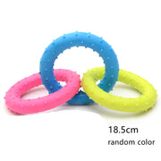 Durable Rubber Chew Toy for Small Dogs — Teeth Cleaning & Training – alternate view 14 thumbnail