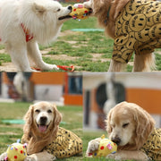 Interactive Sound Ball Toy for Dogs – alternate view 5 thumbnail