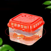 Tragbarer Mini-Tiertransportbehälter — Für Fische, Reptilien und Kleintiere – alternate view 3 thumbnail