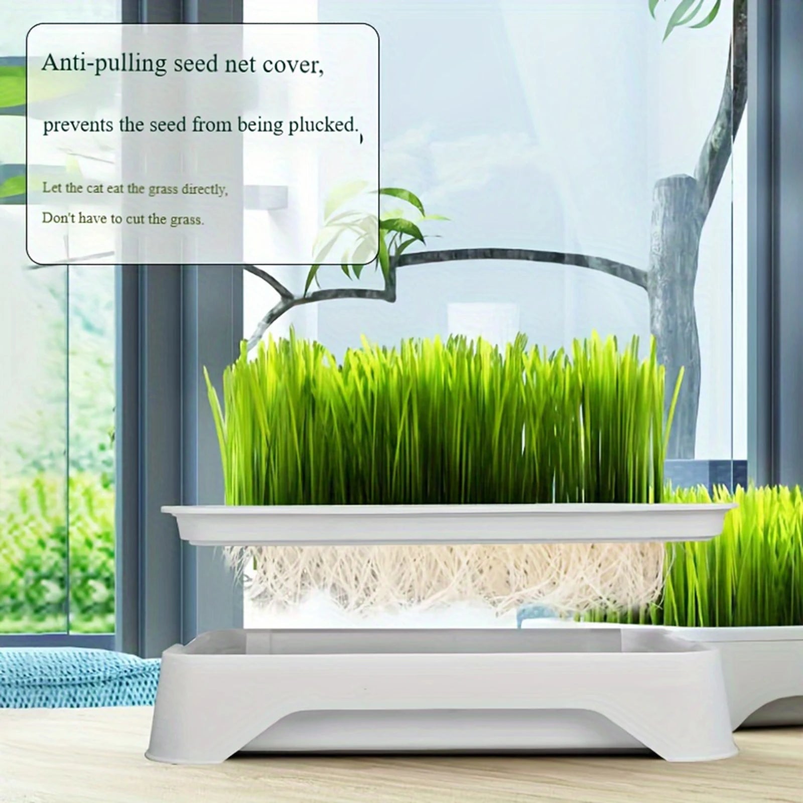 Cat Grass Growing Kit – alternate view 3 of 7