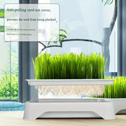 Cat Grass Growing Kit – alternate view 3 thumbnail