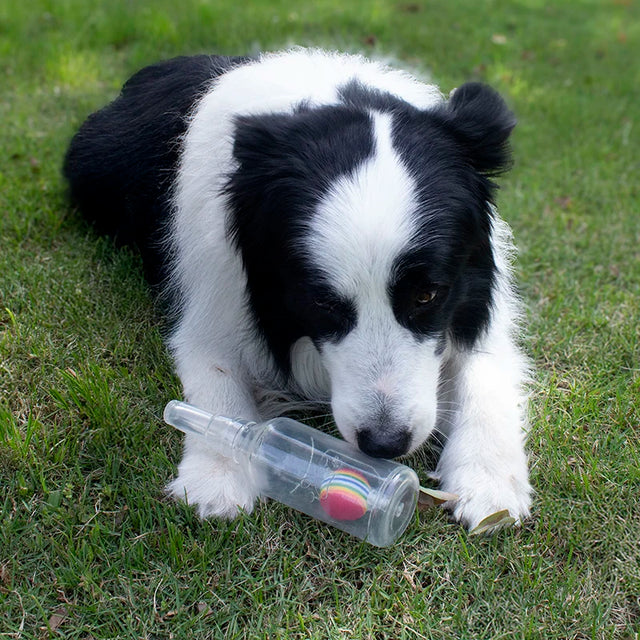 Gıcırtılı Köpek Çiğneme Oyuncağı — Isırmaya Dayanıklı Şişe ve Top Seti