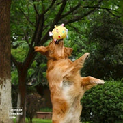 Interactive Sound Ball Toy for Dogs – alternate view 4 thumbnail
