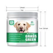 Cat Grass Growing Kit – alternate view 3 thumbnail
