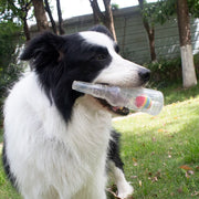 Quietschendes Hundekauspielzeug — Beißfestes Flaschen- und Ballset – alternate view 4 thumbnail
