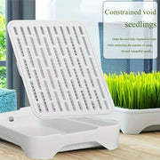 Cat Grass Growing Kit – alternate view 6 thumbnail