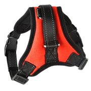 Reflective Adjustable Pet Harness with Leash — Cats & Dogs – alternate view 9 thumbnail