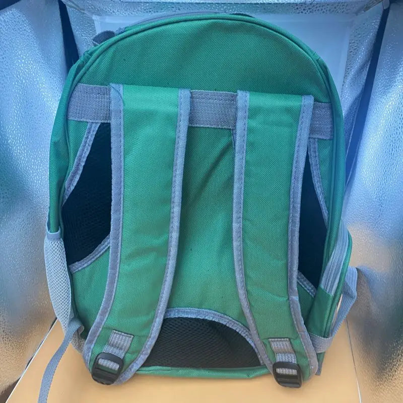 Bubble Window Pet Backpack Carrier — Airline-Style Travel Bag – alternate view 11 of 13