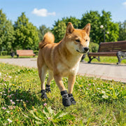 Hundestiefel für jedes Wetter (4er-Set) – alternate view 3 thumbnail