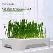 Cat Grass Growing Kit – alternate view 4 thumbnail