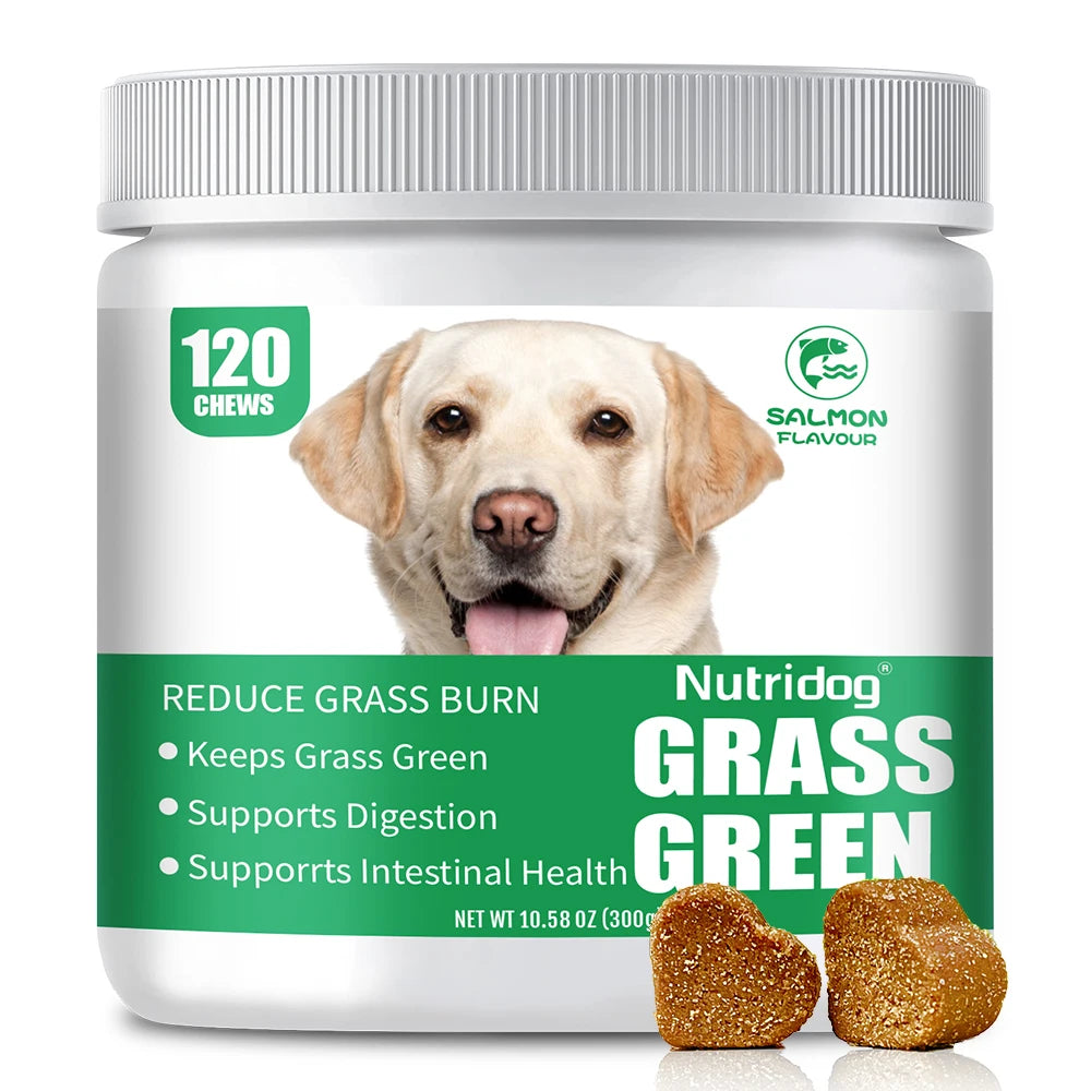 Cat Grass Growing Kit – alternate view 2 of 5