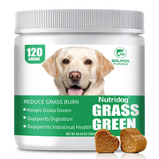 Cat Grass Growing Kit – alternate view 2 thumbnail