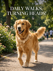 Gold-Tone Cuban Chain Fashion Collar for Dogs – alternate view 3 thumbnail